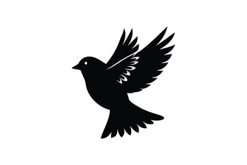Cute Myna Bird  vector art and illustration