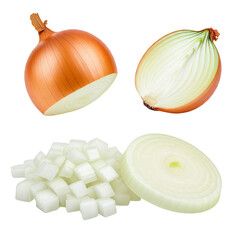 onion isolated on transparent background png