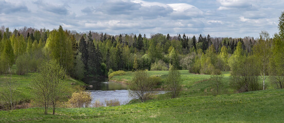Obraz premium Beautiful forest landscape with a river.