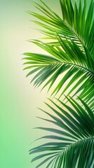 Fototapeta premium Green palm leaves against a gradient background