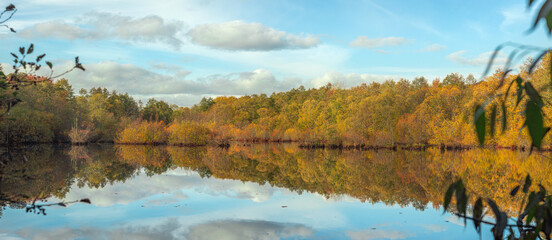 Autumn landscape with reflection in the water.