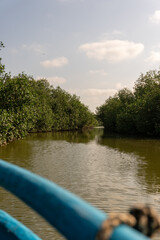 Obraz premium the river in the forest Manglares Tumbes Perú