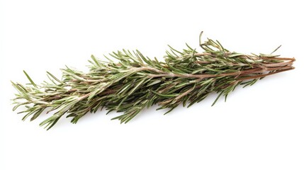 Isolated sprig of fresh rosemary on white background. Perfect for culinary, cooking, and food-related stock photos.