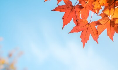 Vibrant red maple leaves under the autumn sun against a clear blue sky, Generative AI 