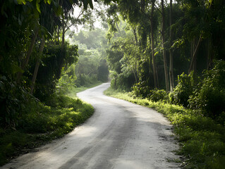 Obraz premium Winding Country Road Through Lush Green Forest