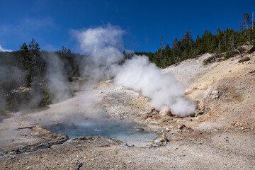 Photograph of steaming hot steam geyser erupting with hot springs next to it with boiling water.