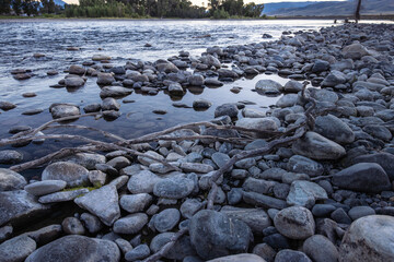 Photograph Snake River, large river rocky shoreline with driftwood still water.
