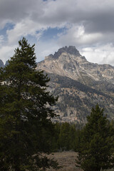 Vertical photo of Teton Mountain peaks on bright cloudy day and Tall pine spruce tress. Location: Grand Teton National Park.