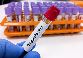 Blood sample for Oropouche virus Test to diagnosis of Oropouche virus disease or  Oropouche fever....