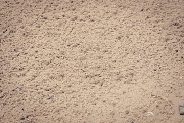 Close up small crab holes or hermit crab nest on the beach