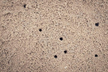 Close up small crab holes or hermit crab nest on the beach