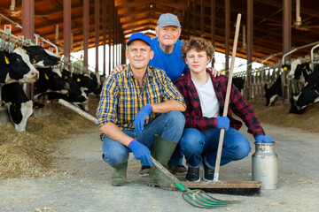 Portrait of three successful farmers at dairy farm with cows in stall in the background