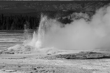 Black and white photo of morning geyser located on the fountain paint pot trail at Yellowstone National Park in Wyoming