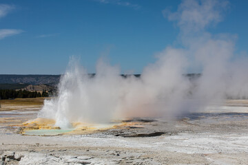 Photograph of erupting Fountain geyser on the fountain paint pot trail at Yellowstone National Park in Wyoming