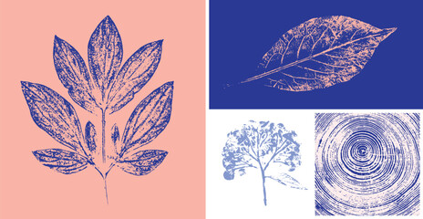 Decorative leaf prints or leaf art. Monotone blue and pink botanical leaf illustrations print.