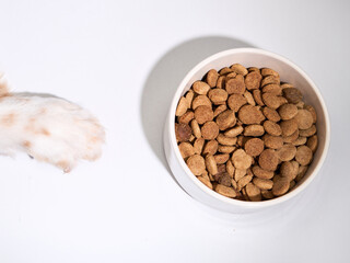 A close-up of a dog paw near a food bowl, capturing the anticipation for food. The minimalistic composition focuses on the dog interaction with the food.