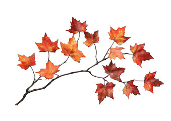 Fototapeta premium A branch of red leaves on transparent background