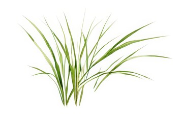 Fototapeta premium the AI Image Generator Neon Green Grass Meadow