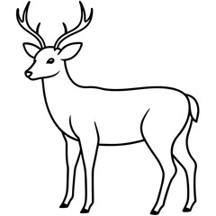 deer line art vector animal no background 