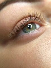 eyeliner makeup close up. Healthy and clean skin young woman