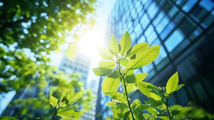 Creating awareness of nature through effective ESG reporting strategies.