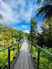 Obraz premium Suspension Bridge at Hokitika Gorge, Hokitika , West coast, South Island, New Zealand. Suspension bridge over the river