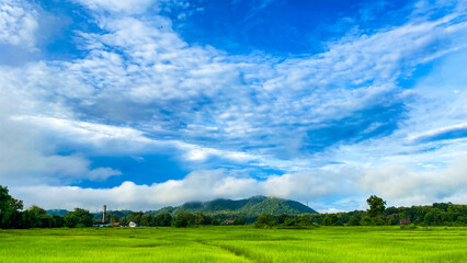 A beautiful green field under a blue sky with scattered clouds in a peaceful countryside landscape