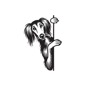 recommend clip art: Saluki Dog Peeking Face Clipart -  Peeking Dog Vector illustration in black and white
