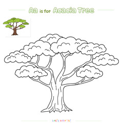 Coloring Page Acacia Tree