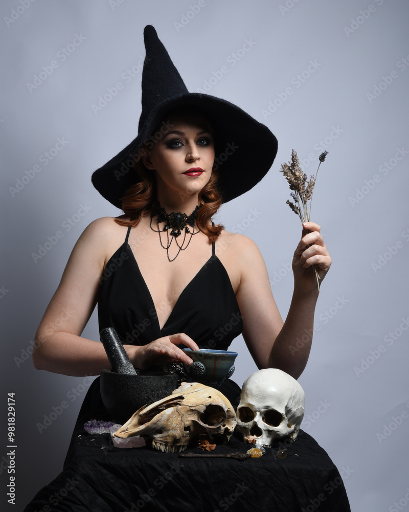 Poster Close up portrait of beautiful  female model wearing black dress, pointy witch hat halloween costume.  Isolated figure on studio background. Casting magic spell at spooky occult  ritual potion table 