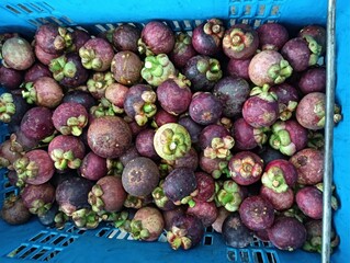 Fresh manggis or mangosteen fruit sale in the market for background.