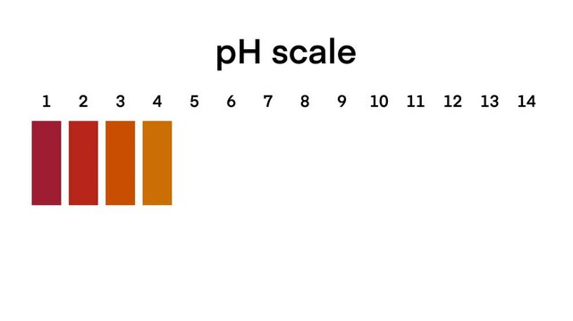 Ph scale diagram, Ph scale graphic, Acid to base, pH scale Infographic acid-base balance, Indicator diagram acidic alkaline measure isolated on white background illustration, Universal pH indicator