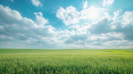 14. Rolling green fields of wheat under a vast sky with dynamic cloud formations, capturing the essence of rural tranquility and agricultural beauty