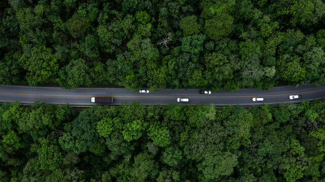 Fototapeta Aerial view car drive in green tree forest road winding road through the forest, Car drive on asphalt road between green tree forest, Electric vehicle EV car drive on asphalt road green tree forest.