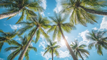104. Majestic palm trees towering above, their green leaves illuminated by the sun, set against a backdrop of a pristine blue sky, capturing the beauty of a tropical beach setting