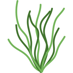 Ocean Sea Plant