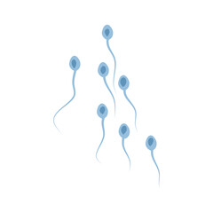 Spermatozoa