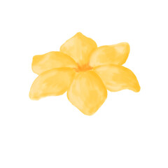 Illistration of yellow flower