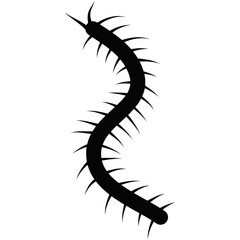 Centipede Silhouette