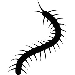 Centipede Silhouette