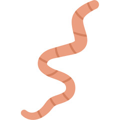 Flat Roundworm