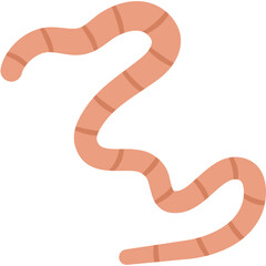 Flat Roundworm