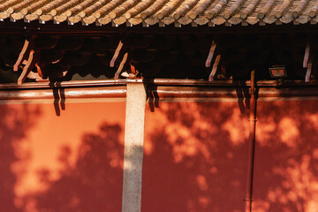 Museum of the Peasant Movement Institute