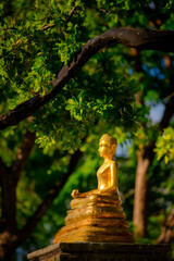Buddha statues which are a symbol of the Lord Buddha for Buddhists