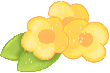 yellow flower