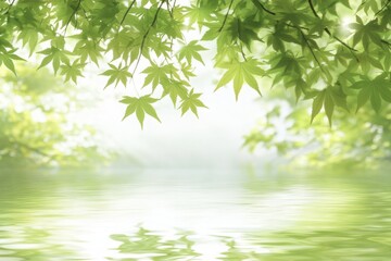 Naklejka premium Tranquil Green Reflections: A Serene Water Scene