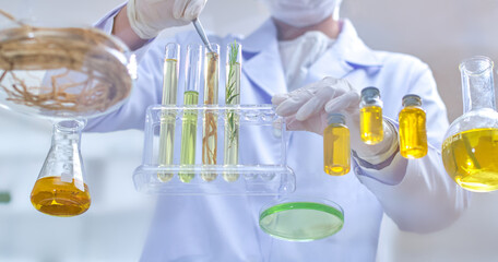 Experimental template with image of scientist using tweezers to pick up roots in a test tube,...