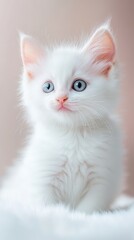Adorable White Kitten: A fluffy white kitten with captivating blue eyes sits against a soft pink background.  Its delicate features and innocent gaze evoke feelings of warmth and tenderness. 