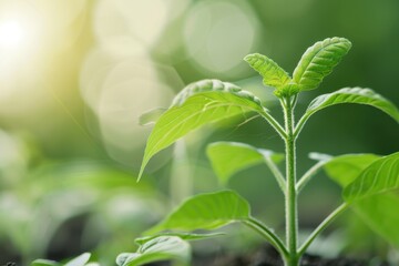 Obraz premium Green Biotechnology Innovation, a vibrant illustration showcasing the integration of synthetic biology with botanical elements, emphasizing sustainable agriculture and ecological advancements.