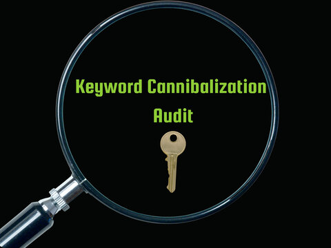 An audit is the process of detecting and addressing instances in which many pages on a website compete for the same or similar keywords.